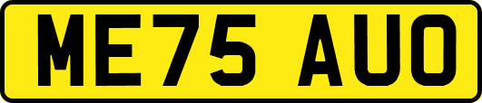 ME75AUO