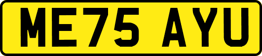 ME75AYU