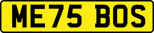 ME75BOS