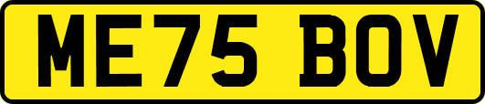 ME75BOV