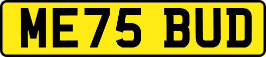 ME75BUD