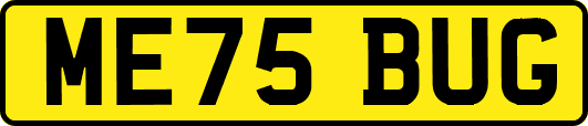 ME75BUG