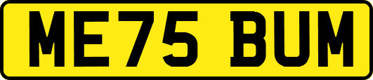 ME75BUM