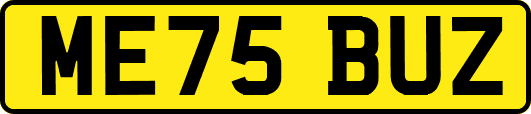 ME75BUZ