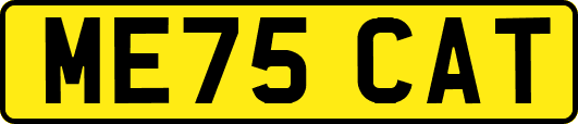 ME75CAT