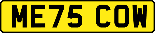 ME75COW
