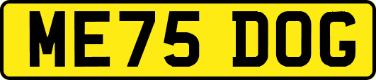 ME75DOG