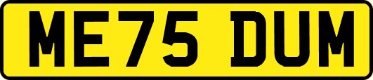 ME75DUM
