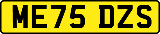 ME75DZS
