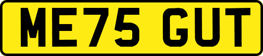 ME75GUT