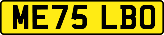 ME75LBO