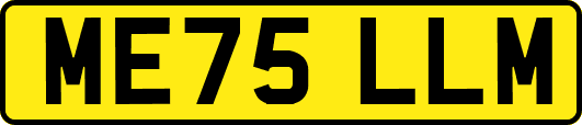 ME75LLM