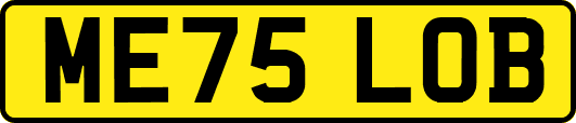 ME75LOB