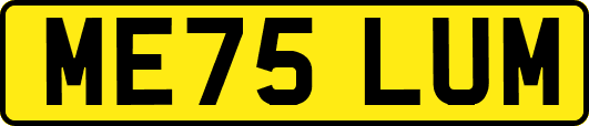 ME75LUM