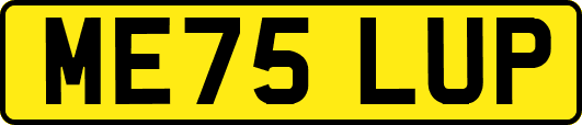 ME75LUP