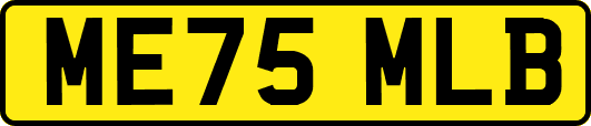 ME75MLB