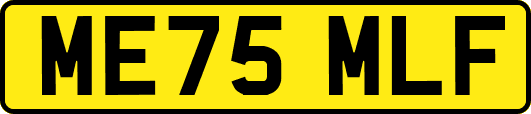 ME75MLF