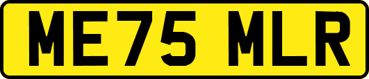 ME75MLR