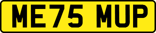 ME75MUP