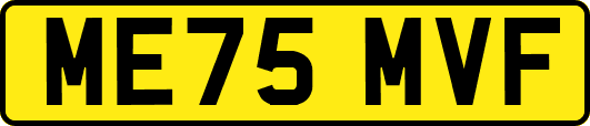 ME75MVF