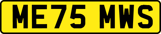 ME75MWS