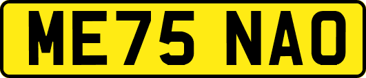 ME75NAO