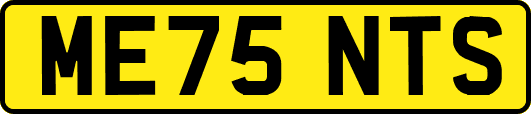 ME75NTS