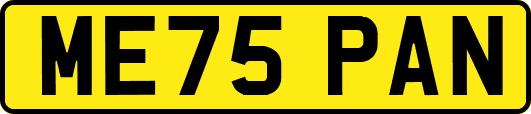 ME75PAN