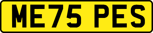 ME75PES