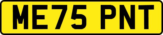ME75PNT