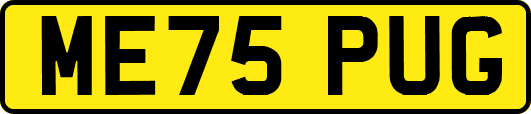 ME75PUG