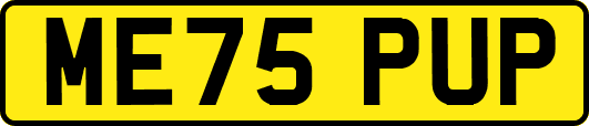 ME75PUP