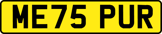 ME75PUR