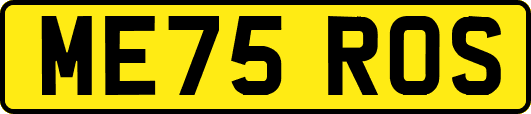 ME75ROS
