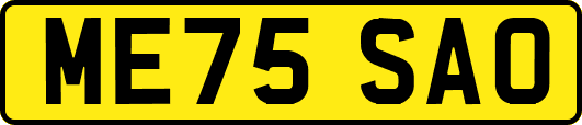 ME75SAO