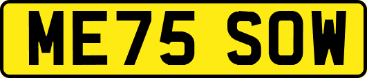 ME75SOW