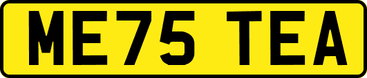 ME75TEA