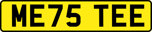 ME75TEE