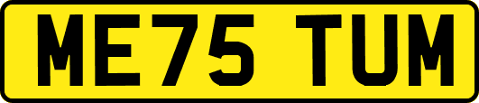 ME75TUM