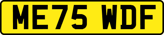 ME75WDF