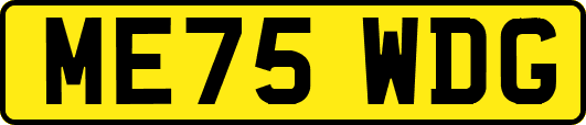 ME75WDG