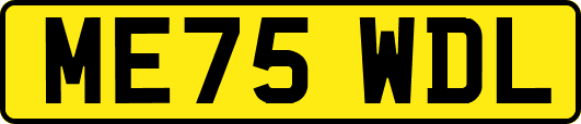ME75WDL