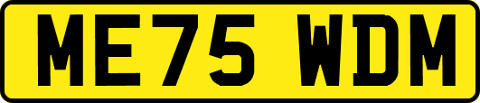 ME75WDM