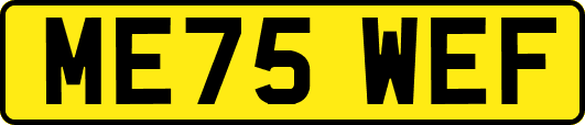 ME75WEF