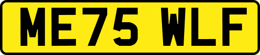 ME75WLF