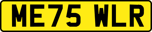 ME75WLR
