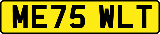 ME75WLT