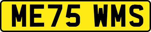ME75WMS