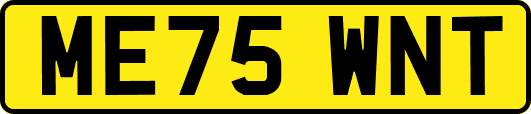 ME75WNT