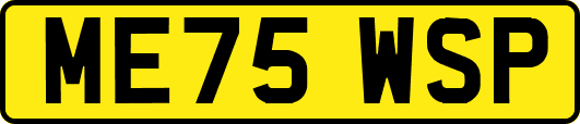 ME75WSP